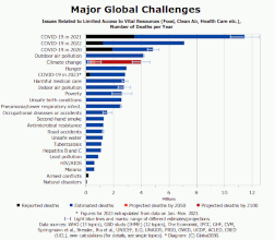 Minimized bar diagram on deaths due to major global challenges. 