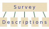 Graph: structure of survey and descriptions