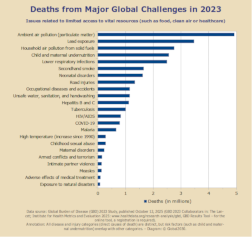 Verkleinertes Balkendiagramm zu Todesf�llen aufgrund wichtiger globaler Herausforderungen 2023. 