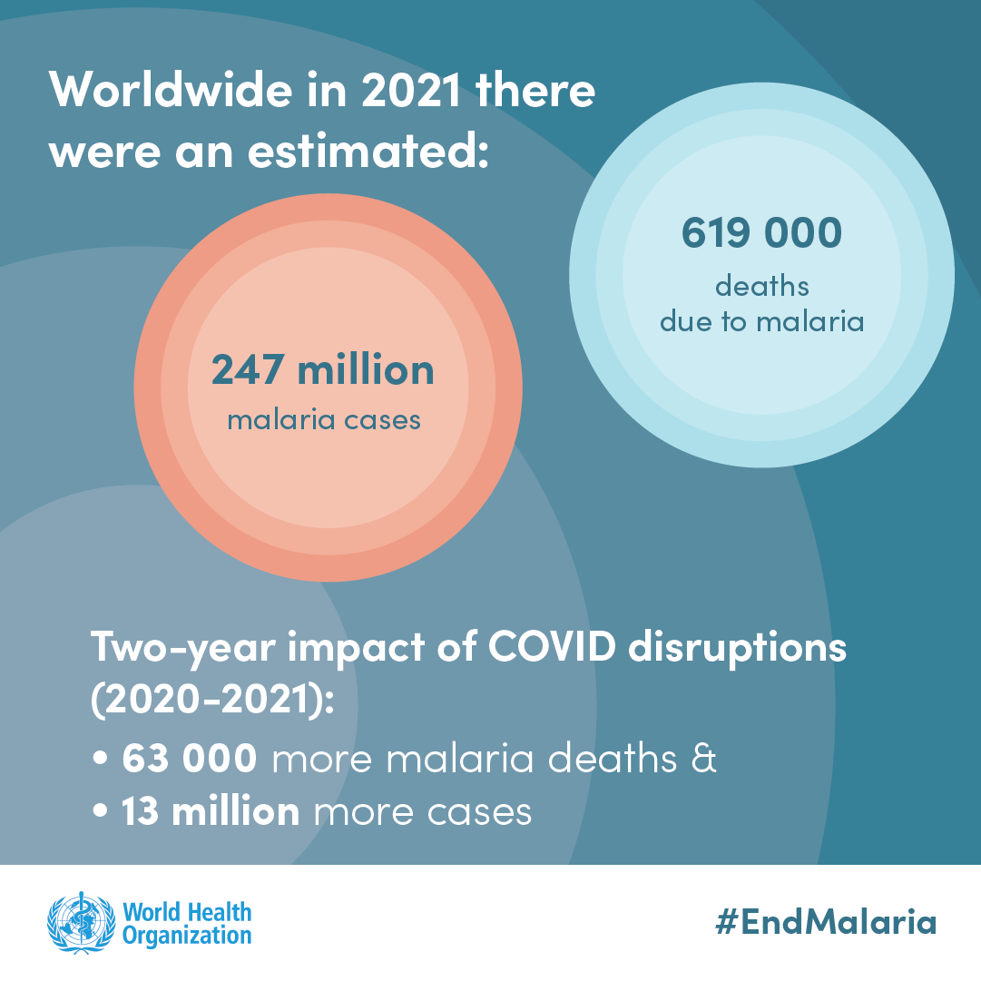 Infographic on malarial deaths 2021. 